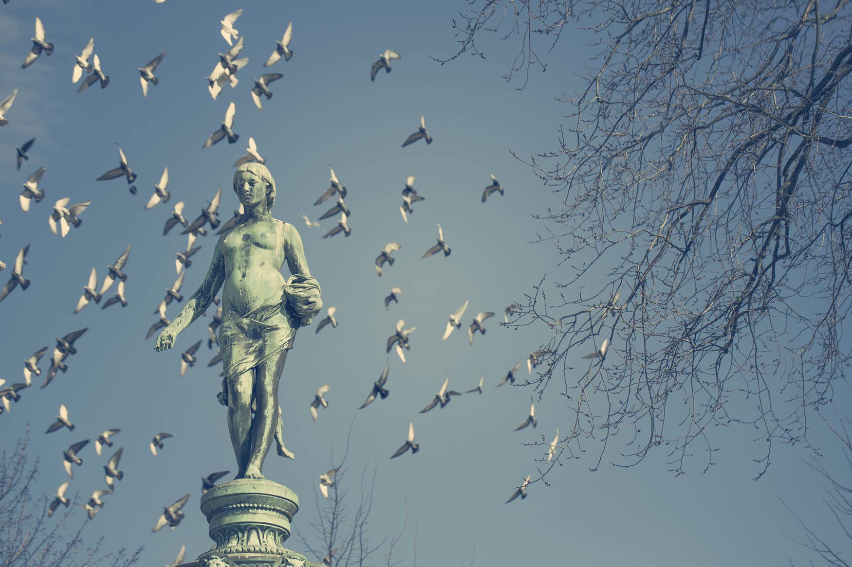 Trivsel.social slideshow with mood images about socialfaglig konsulentvirksomhed